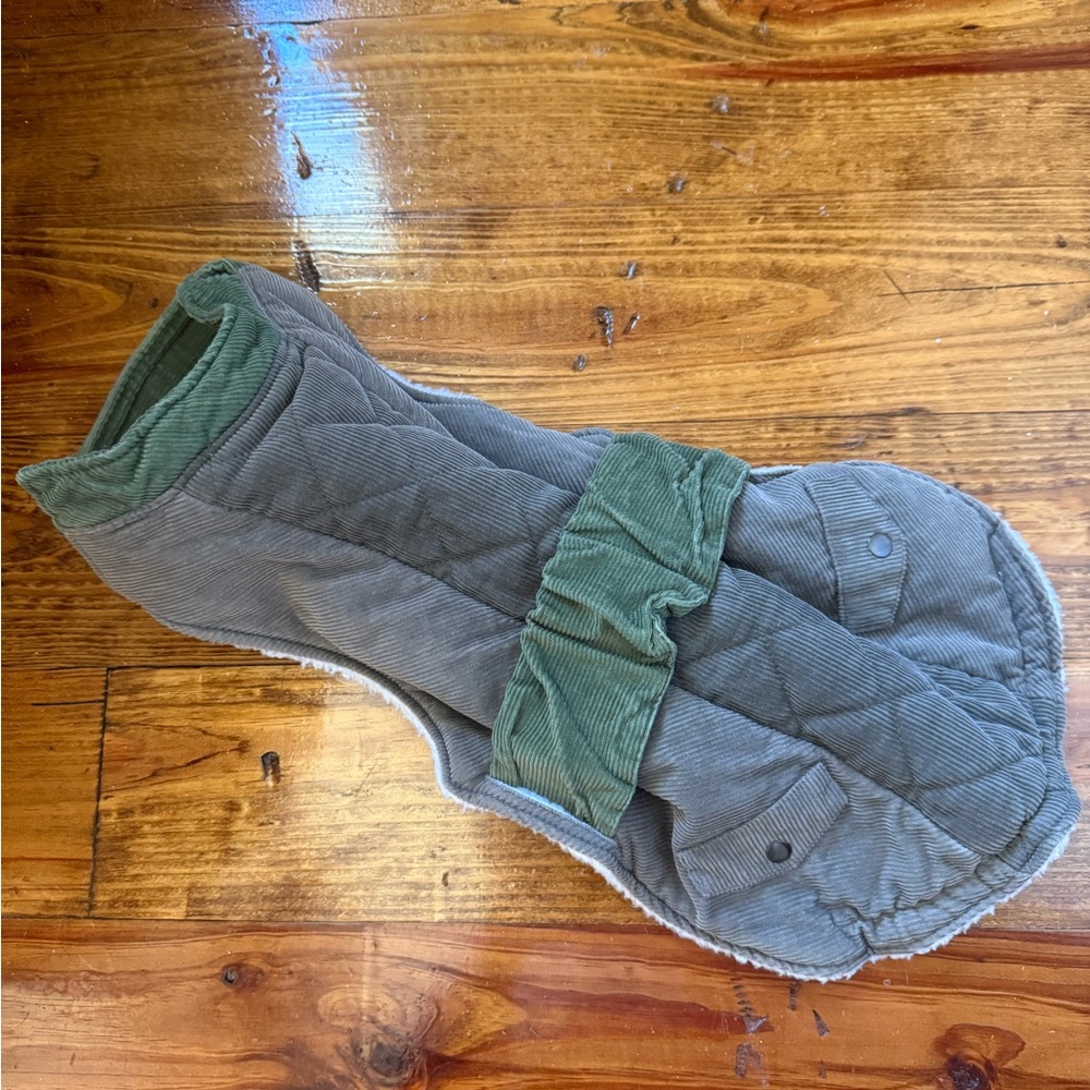 Boots & Barley Green Corduroy Dog Jacket